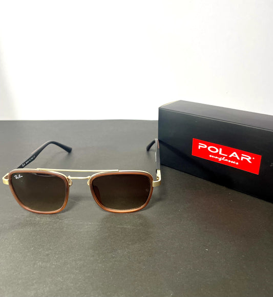 Rayban Special Polarized Brown Sunglasses with box.